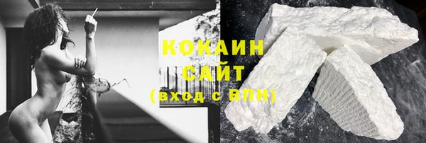 гидра Абаза