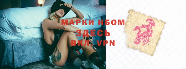 гидра Абаза