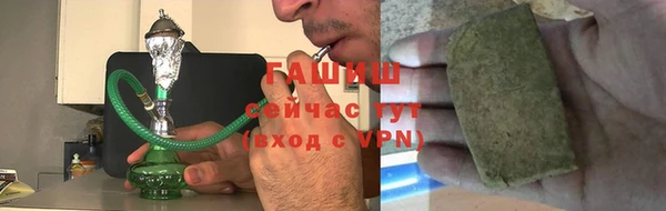 гидра Абаза