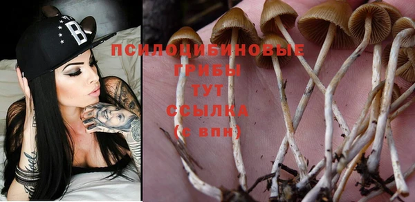 герыч Абдулино