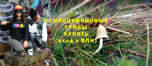 гидра Абаза