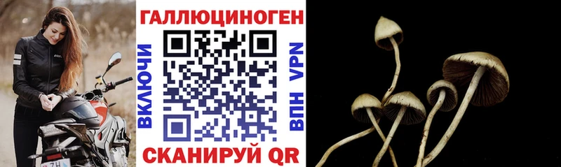 kraken как войти  Миллерово  Галлюциногенные грибы MAGIC MUSHROOMS 