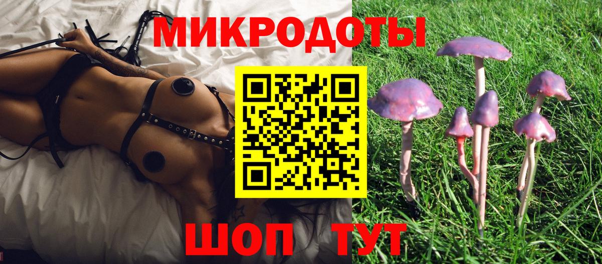 Галлюциногенные грибы Cubensis Миллерово