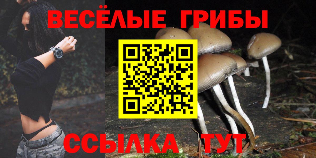 Миллерово  Псилоцибиновые грибы Psilocybine cubensis  Вход с VPN 